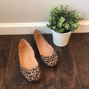 Cheetah Flats